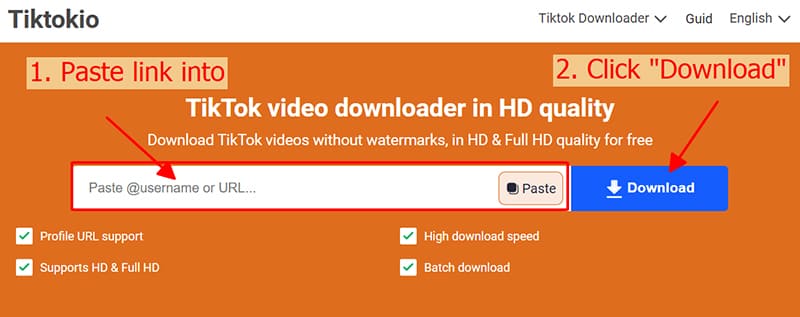 paste url into tiktokio